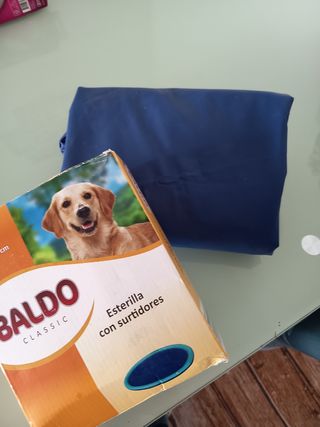 PISCINA PERROS/ CHORRITOS