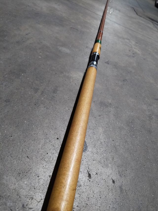 Caña pescar Carswell 4,5m