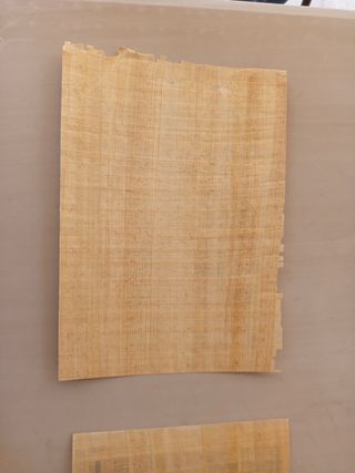 Papiros egipcios antiguos (2)