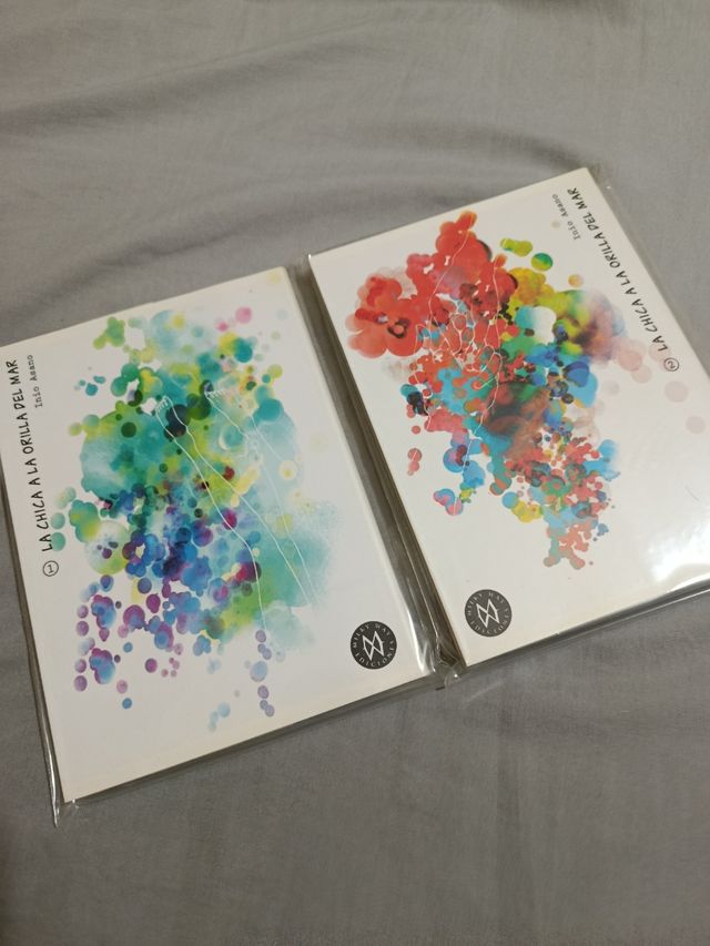 La chica a la orilla del mar.