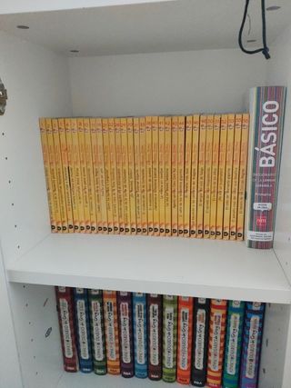 El valle de los esqueletos gigantes: Geronimo S...