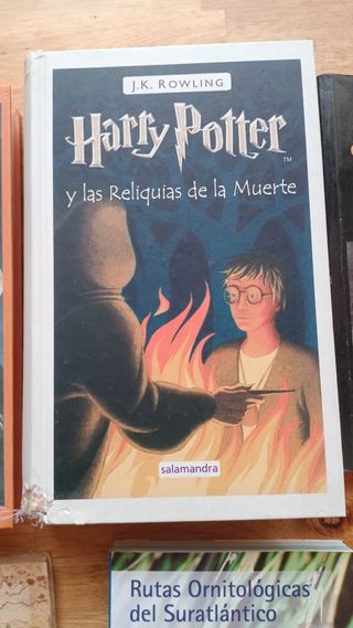 Lote de libros diversos