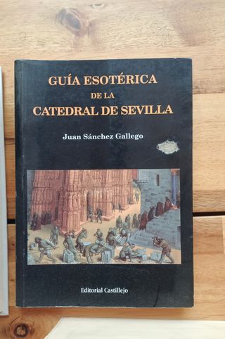 Lote de libros diversos