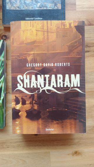 Lote de libros diversos