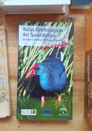 Lote de libros diversos