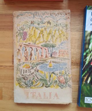 Lote de libros diversos