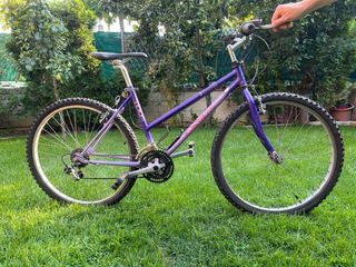 Bicicleta montaña vintage
