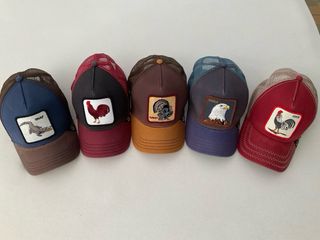 5 Gorras Goorin Bros. Impecables