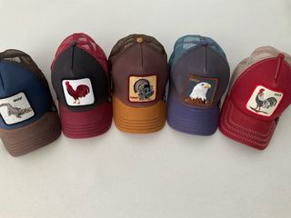 5 Gorras Goorin Bros. Impecables