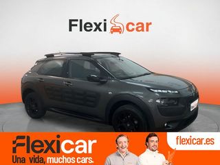 Citroën C4 Cactus BlueHDi 73KW (100CV) Business