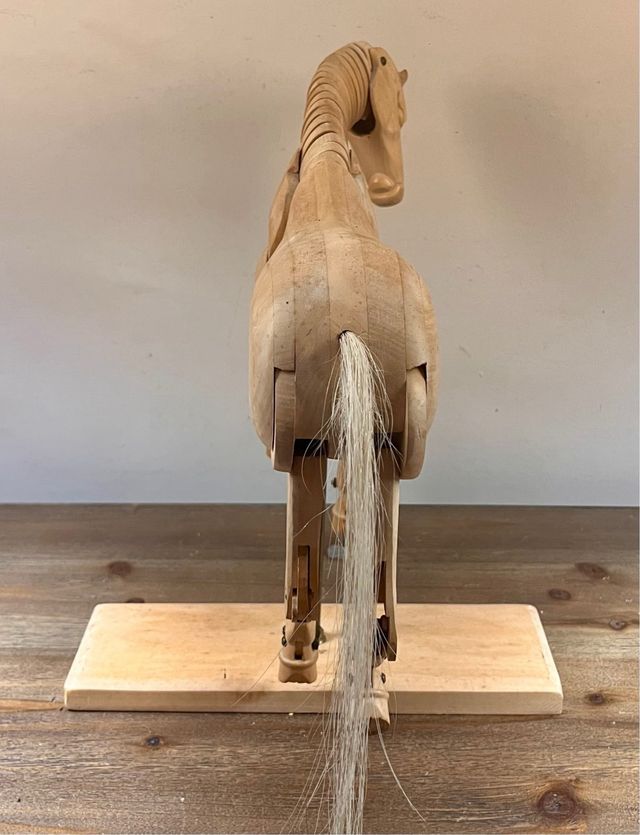 Decorativo modelo anatómico de caballo de madera