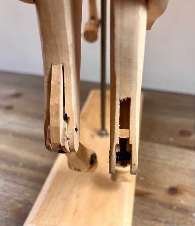 Decorativo modelo anatómico de caballo de madera