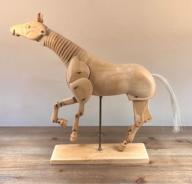 Decorativo modelo anatómico de caballo de madera