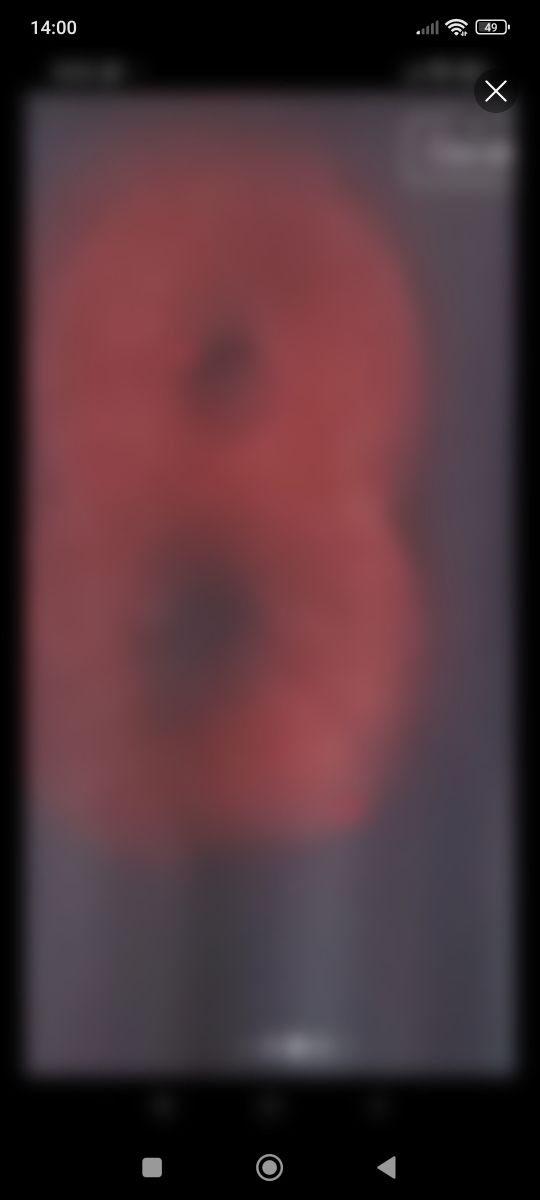 Polo y pantalón corto