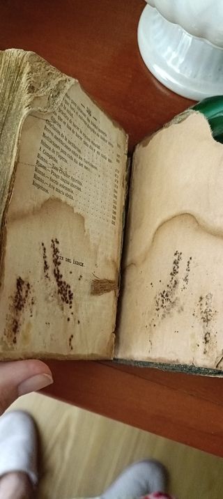 Camino recto y seguro para llegar al cielo lo