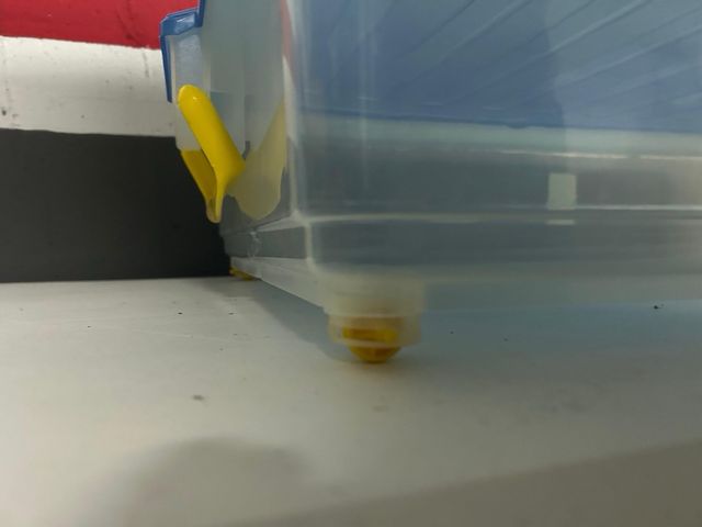 Caja almacenaje DENOX 77x50x18cm