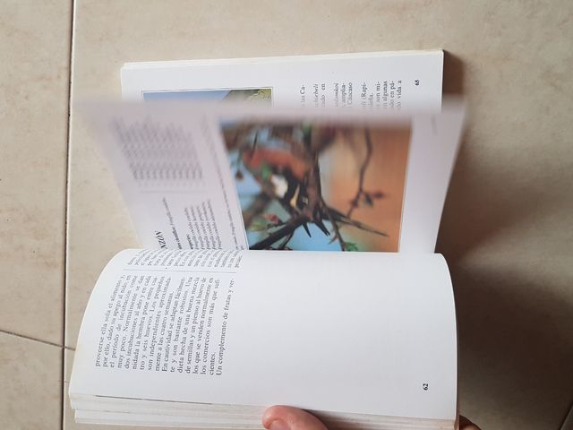 Jilgueros, luganos, verderones y pinzones (Anim...