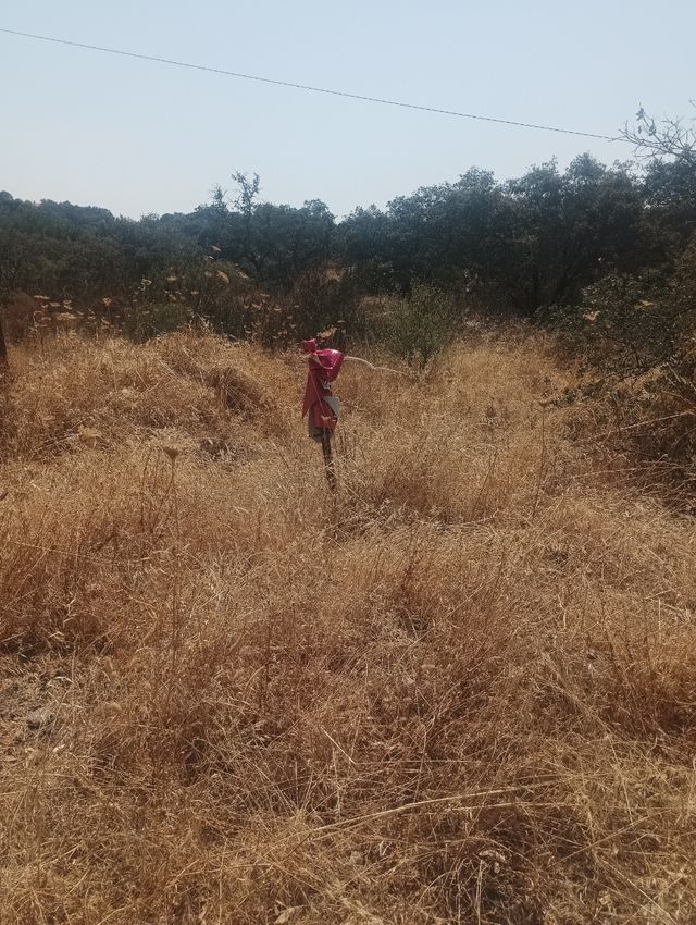 Lagos del Serrano -  Postal