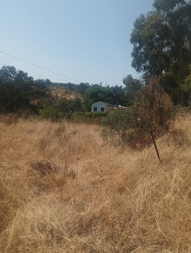 Lagos del Serrano -  Postal