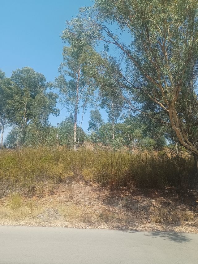 Lagos del Serrano -  Postal