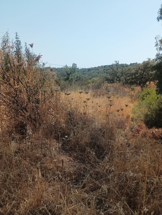 Lagos del Serrano -  Postal