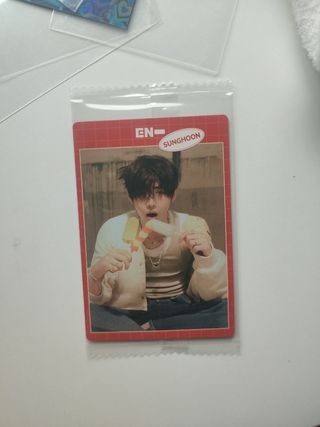 Photocard Sunghoon ENHYPEN Bandai