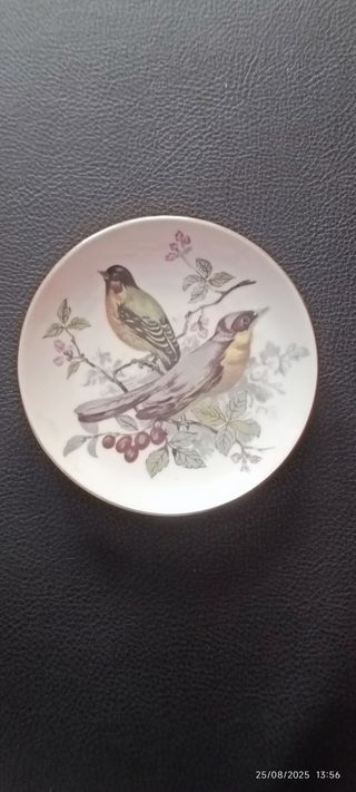 4 piatti in ceramica Nagoya - Pollame