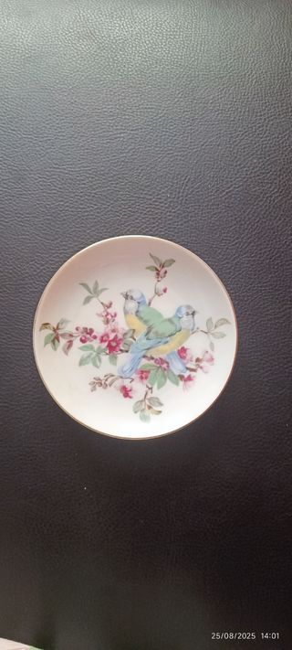 4 piatti in ceramica Nagoya - Pollame