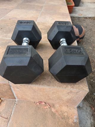 Mancuernas bodytone 15kg
1x40 las 2 x 75
