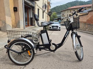 Bicicleta eléctrica triciclo