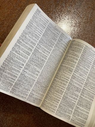 Vocabolario della lingua greca 