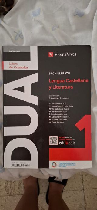 Lengua y literatura castellana