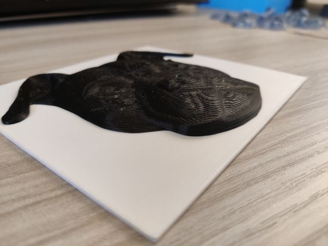 Targa Attenti al Cane