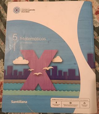 MATEMATICAS M LIGERA 5 PRIMARIA CONSTRUYENDO MU...