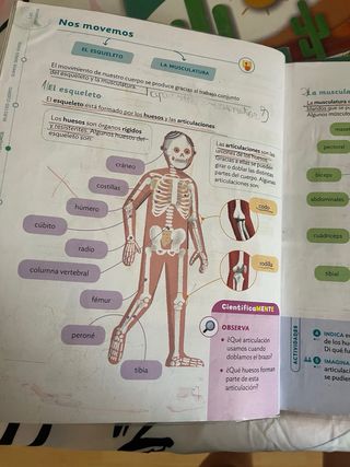 CONOCIMIENTO DEL MEDIO MOCHILA LIGERA 3 PRIMARI...