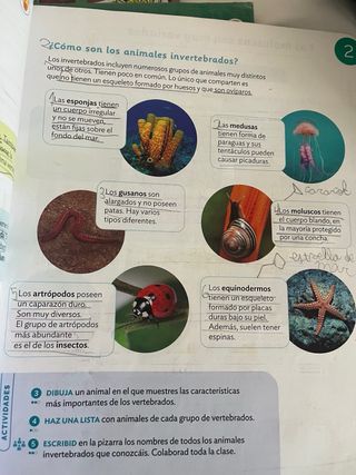 CONOCIMIENTO DEL MEDIO MOCHILA LIGERA 3 PRIMARI...