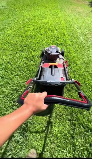 Jardinería - Mantenimiento Jardines