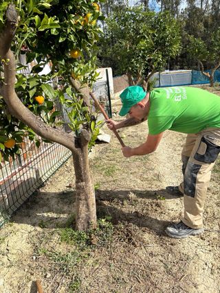 Jardinería - Mantenimiento Jardines
