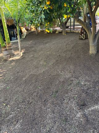 Jardinería - Mantenimiento Jardines