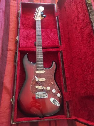 Estuche  maleta guitarra eléctrica the luxe.