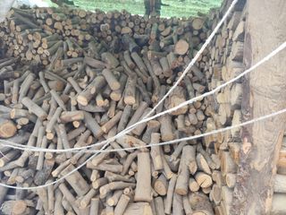 Leña para chimenea - Económico