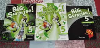 LIBROS INGLES BIG SURPRISE 5 PRIMARIA 