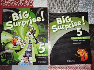 LIBROS INGLES BIG SURPRISE 5 PRIMARIA