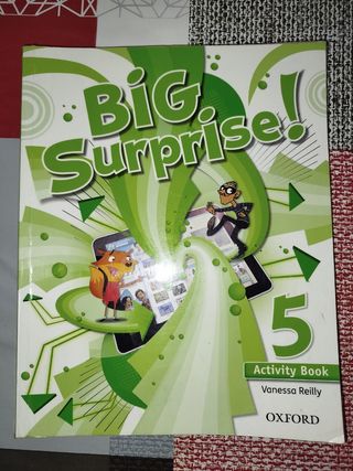 LIBROS INGLES BIG SURPRISE 5 PRIMARIA