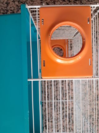 Gaiola Hamster - Pequena Azul