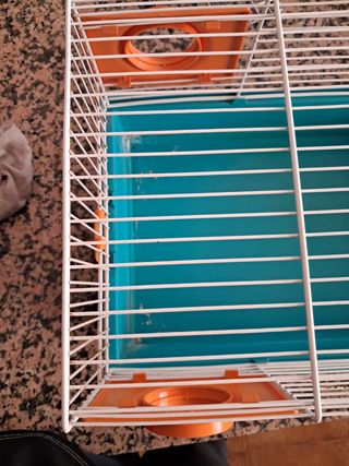 Gaiola Hamster - Pequena Azul