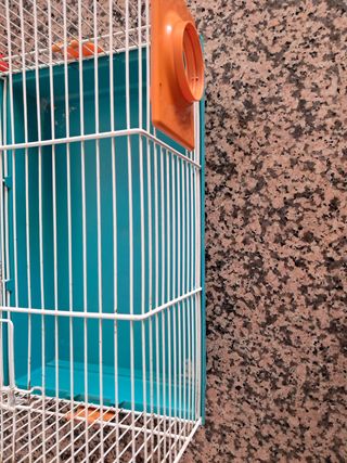 Gaiola Hamster - Pequena Azul