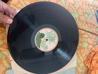 LP Cat Stevens - Teaser and the Firecat