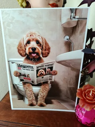 Cuadros Enmarcados Nuevos