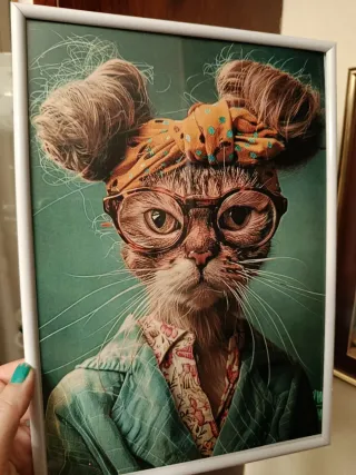 Cuadros Enmarcados Nuevos